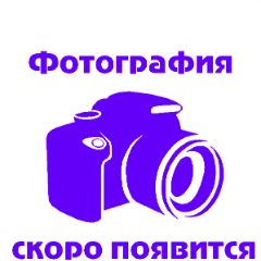Цкитишвили Теймураз